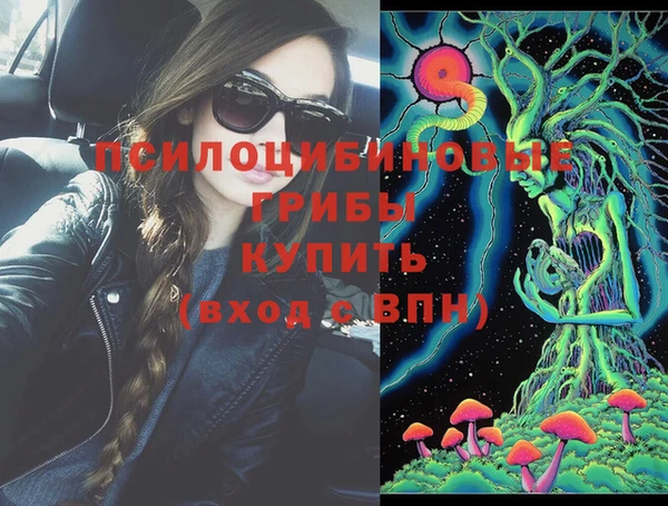 гидра Россошь