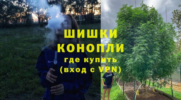 прущая мука Болотное