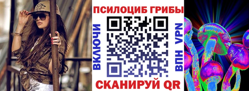 Галлюциногенные грибы Psilocybe  цены   Кадников 